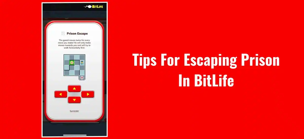 How To Escape Prison In Bitlife